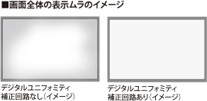 EIZO DUE (Digital Uniformity Equalizer) EIZO DUE (Digital Uniformity Equalizer)