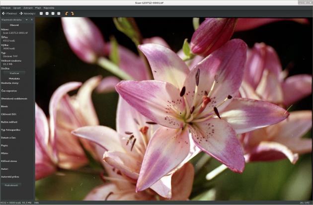 JPEG náhled, Linux, Eye of GNOME